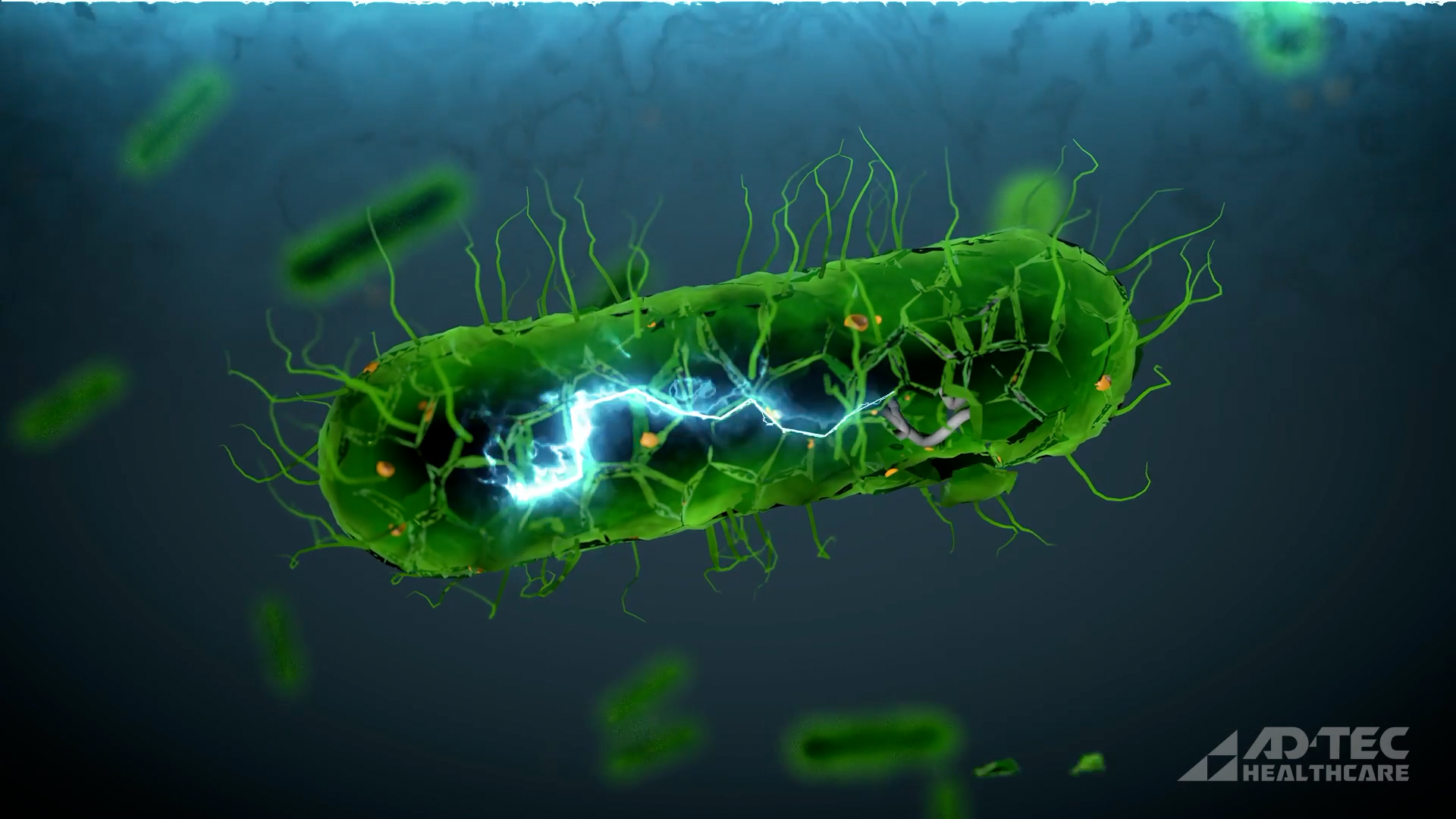 Adtec_Bacteria